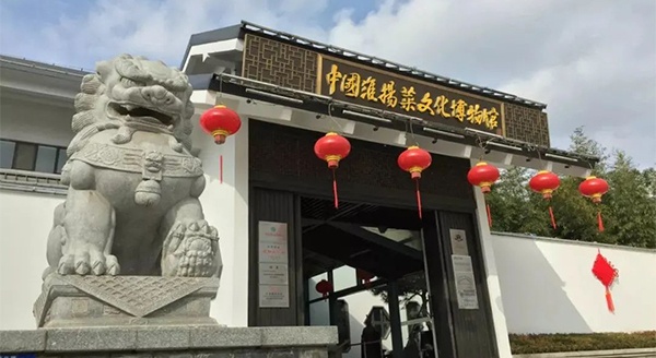 人間至味是淮揚 | 探店vlog分享，這座博物館很“香”